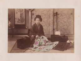Fotoalbum 24 Fotografien Japan, Geisha, Rikscha, Sänfte, Yokohama Hotel, Nikko, Tempel, Pagode, Shamisen, Kirschblüte  - Albums & Verzamelingen