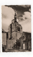 10 - ERVY Le CHATEL - Eglise Saint Pierre-ès-Liens, XVe Et XVIe S. (M67) - Ervy-le-Chatel