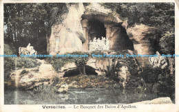 R174419 Versailles. Le Bosquet Des Bains DApollon. 1906 - Monde