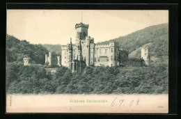 AK Stolzenfels, Das Schloss Im Wald  - Autres & Non Classés