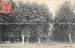 R173934 Parc De Saint Cloud. Allee De Felicite. P. Marmuse. 1905 - Welt