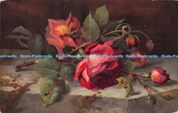 R175080 Roses. Series No. 5423. S. Hildesheimer - Welt
