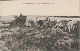 Cpa Pornichet  La Pêche Aux Moules - Pornichet