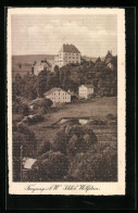 AK Freyung I. B. W., Schloss Wolfstein  - Freyung