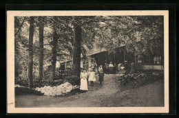 AK Einbeck, Restaurant Teichen Von Ludwig Siegmann  - Einbeck