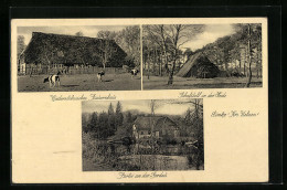 AK Eimke B. Uelzen, Niedersächsisches Bauernhaus Mit Schafstall  - Autres & Non Classés