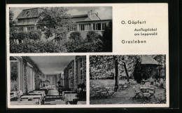 AK Grasleben B. Helmstedt, Ausflugslokal O. Göpfert Am Lappwald Mit Terrassen  - Helmstedt