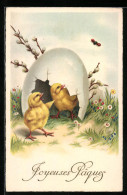 AK Osterküken In Eierschale, Joyeuses Paques  - Easter