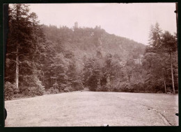 Fotografie Brück & Sohn Meissen, Ansicht Platz, Blick Vom Platzergrund Nach Der Burgruine Hassenstein  - Plaatsen