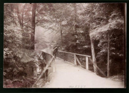 Fotografie Brück & Sohn Meissen, Ansicht Rochlitz, Promenadenweg Mit Der Mordgrundbrücke  - Orte