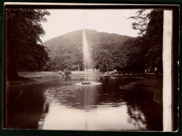 Fotografie Brück & Sohn Meissen, Ansicht Bad Lauterberg / Harz, Partie Am Teich Im Wissmannpark Mit Fontaine  - Places