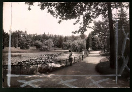 Fotografie Brück & Sohn Meissen, Ansicht Limbach I. Sa., Partie Im Stadtpark Mit Teichanlage  - Places