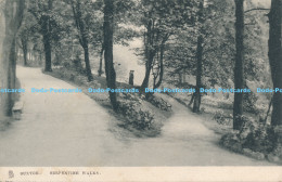 R175125 Buxton. Serpentine Walks. Tuck. 1908 - Monde