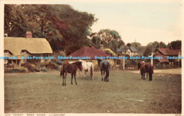 R174534 New Forest. Swan Green. Lyndhurst. Photochrom - Monde