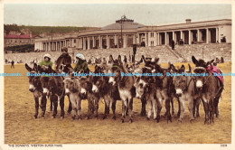 R174537 The Donkeys. Weston Super Mare - Monde