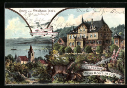 Lithographie Konstanz, Hotel-Pension Waldhaus Jakob, Villa Seeheim Dampfschiff-Station  - Konstanz