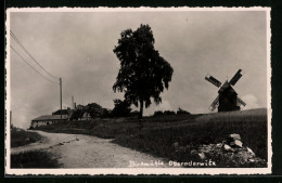 AK Oberoderwitz, Feldweg Mit Birkmühle  - Other & Unclassified