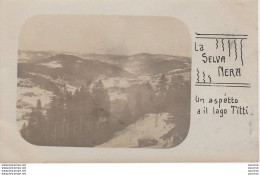 X7- LA SELVA NERA (CARTE PHOTO) UN ASPETTO A IL LAGO TITTI - ( OBLITERATION 1903 FREIBURG - 2 SCANS ) - Autres & Non Classés