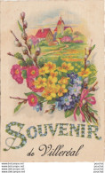 X16-47) VILLEREAL - SOUVENIR - (CARTE FANTAISIE AVEC FLEURS  ET PAYSAGE  - 2 SCANS) - Andere & Zonder Classificatie