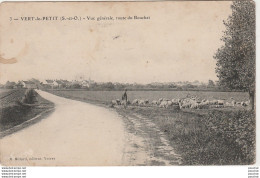 X18-91) VERT LE PETIT- - VUE GENERALE , ROUTE DU BOUCHET  - ( ANIMEE - BERGER AVEC TROUPEAU DE MOUTONS -  2 SCANS ) - Vert-le-Petit