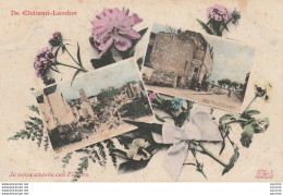 X21-77) CHATEAU LANDON - JE VOUS ENVOIE CES FLEURS - ( CARTE MULTIVUES AVEC FLEURS - 2 SCANS )) - Chateau Landon