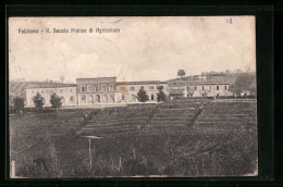 Cartolina Fabriano, R. Scuola Pratica Di Agricoltura  - Other & Unclassified