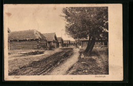 AK Jasgi, Dorfstrasse Mit Holzhäusern  - Russie