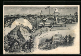 Lithographie Hörnli, Alpenpanorama Säntis Bis Pilatus  - Sonstige & Ohne Zuordnung