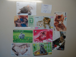 JAPAN  USED  PHONECARDS  LOT OF 9  FREE SHIPPING ANIMALS CAT CATS - Japon