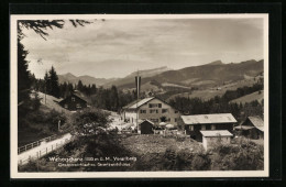 AK Vorarlberg, Walserschanz, Österreichisches Grenzwirtshaus  - Customs