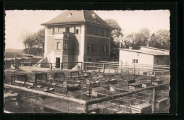 AK Gersthofen, Fuchsfarm, Haus Und Käfige  - Gersthofen