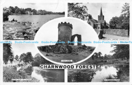 R174666 Charnwood Forest. Tuck. RP. 1960. Multi View - Monde