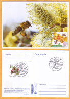 2024 Moldova  MAXICARD Special Postmark „World Bee Day”,Insects, Honeybees - Moldawien (Moldau)