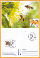 2024 Moldova  MAXICARD Special Postmark „World Bee Day”,Insects, Honeybees - Moldawien (Moldau)