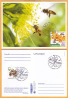 2024 Moldova  MAXICARD Special Postmark „World Bee Day”,Insects, Honeybees - Moldavie