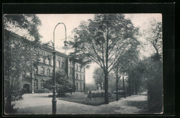 AK Bitterfeld, Partie Mit Oberrealschule Und Höherer Töchterschule  - Bitterfeld