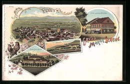 Lithographie Maria Schein, Gesamtansicht, Hotel Zum Goldenen Brunnen, Collegium  - Tschechische Republik