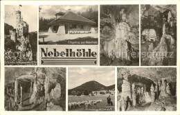 72271100 Unterhausen Genkingen Schloss Lichtenstein Nebelhoehle Details Rossberg - Autres & Non Classés