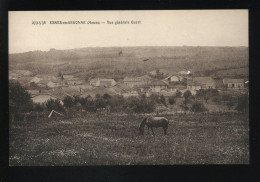 55 - ESNES-EN-ARGONNE - VUE GENERALE OUEST - CARTE AVEC SON NEGATIF ORIGINAL - Other & Unclassified