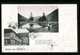 AK Steina, Scenerie Aus Dem Steinertal, Gasthaus Zum Weissen Ross  - Other & Unclassified