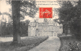 71-PONTAMAILLY-Le Chateau-N 6002-C/0303 - Other & Unclassified