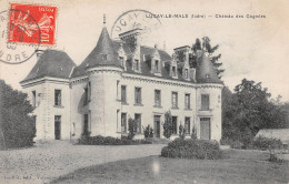 36-LUSAY-LE-MALE-Chateau Des Cognees-N 6002-B/0235 - Otros & Sin Clasificación