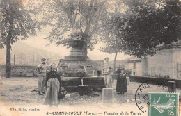 81-SAINT-AMANS-SOULT-Fontaine De La Vierge-N 6002-E/0249 - Sonstige & Ohne Zuordnung