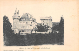 39-CORNOD-Chateau-N 6002-H/0115 - Other & Unclassified