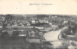 45-MONTARGIS-Vue Panoramique-N 6002-H/0019 - Montargis