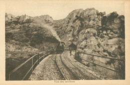 13)  L' ESTAQUE  - Société Des Chaux De Ciments Portland De Marseille - Voies Des Carrières - L'Estaque