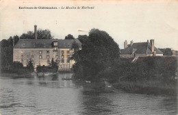 28-CHATEAUDUN-Le Moulin De Marboue-N 6003-C/0303 - Chateaudun