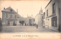 91-PUSSAY-Place De L'Orme-N 6003-B/0321 - Autres & Non Classés