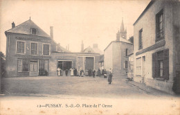 91-PUSSAY-Place De L'Orme-N 6003-B/0319 - Autres & Non Classés