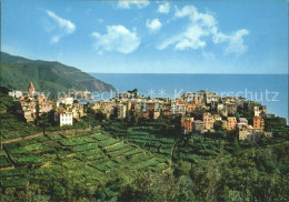 72270438 Corniglia  Corniglia - Autres & Non Classés